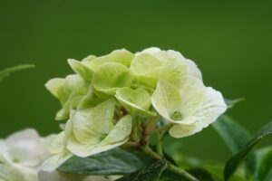 シニアがこっそり悩んでいる便秘・下痢・便漏れの原因と治療法、さらに便失禁の専門治療ができる病院を紹介!(前編)