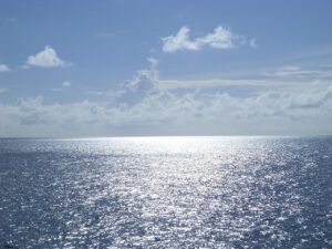 認知症の昼夜逆転や不安症状に困っているあなたに、最新の治療方法や家庭で出来る対策を紹介します！(前編)