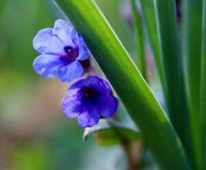 高たんぱく・高カロリーで、柔らかくむせにくい、食欲不振気味のシニアへお勧め献立1週間分をご紹介!(1/3)