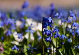 高たんぱく・高カロリーで、柔らかくむせにくい、食欲不振気味のシニアへお勧め献立1週間分をご紹介!(2/3)