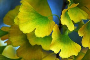 70代で立ち上がりが辛い原因は筋力低下ー自宅でできる安全トレーニングと転倒予防法