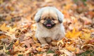 介護うつのサインに気づくには？同居家族・非同居家族・友人別の対応法