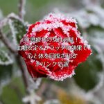 介護疲れの女性必見！血糖安定＆リラックス効果で心と体が回復するドリンク15選