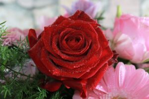 自宅介護の排泄介助を楽にする方法：身体と心の負担を軽減するポイント